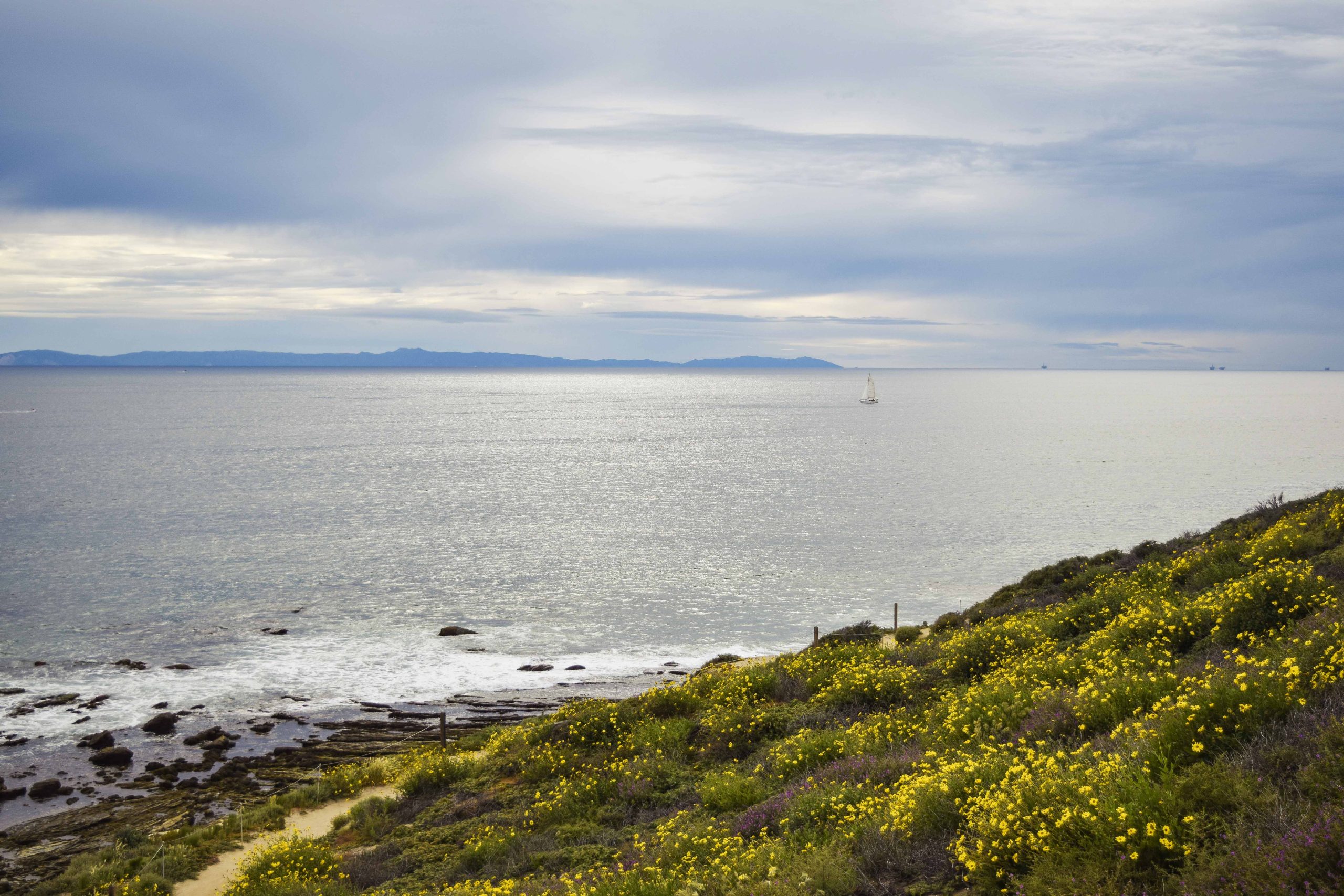 Crystal Cove State Park Best Family Beach