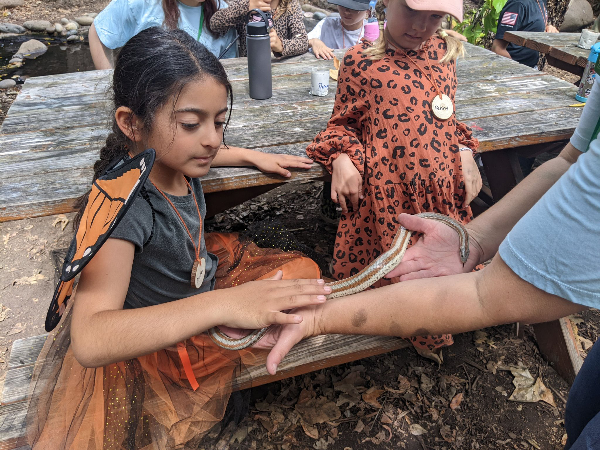 Environmental Nature Center Best Nature Center