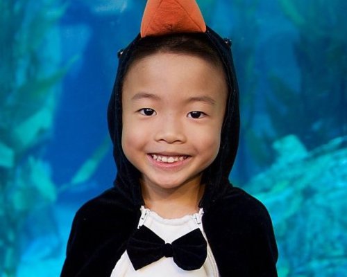 A little boy in a penguin costume at Family Halloween Night event at the Aquarium