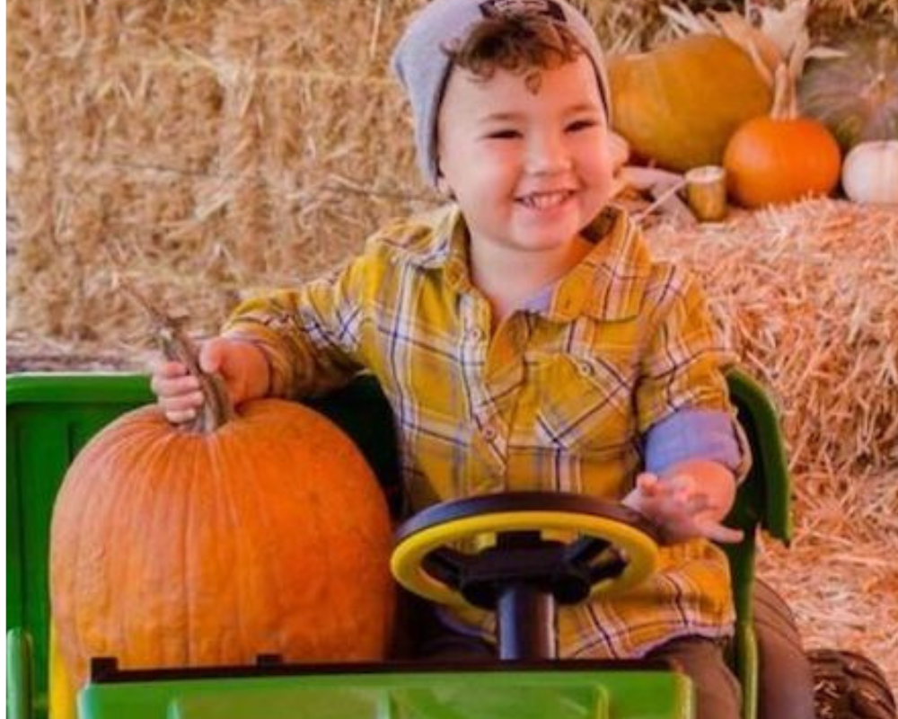 A happy little boy in a toy train holding a pumpkin at the pumpkin patch