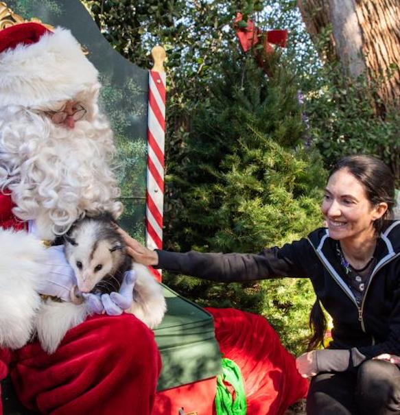 Holiday Animal Art Programs (ages 7-10)