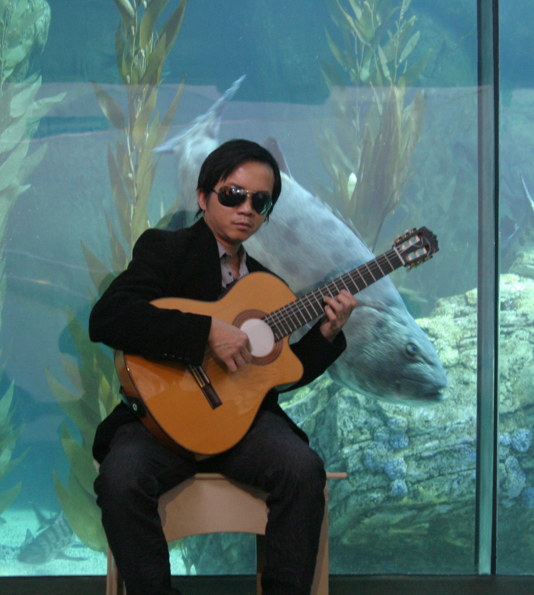 21st Annual Festival of Human Abilities