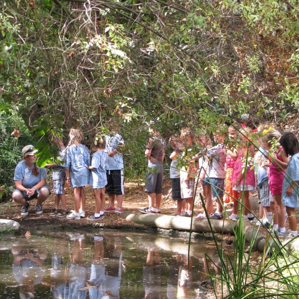 Environmental Nature Center