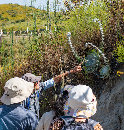 OC Park Explorations