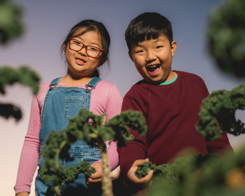Tanaka farms Isabella and Bradley Harsadi