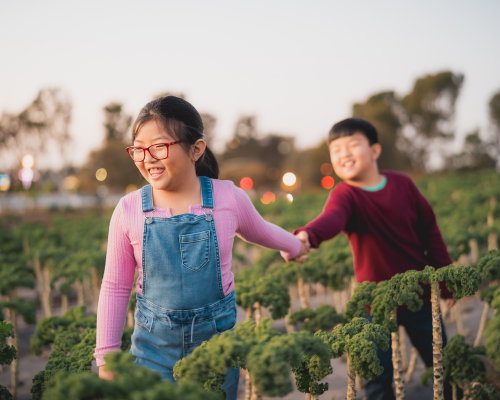 Tanaka farms Isabella and Bradley Harsadi