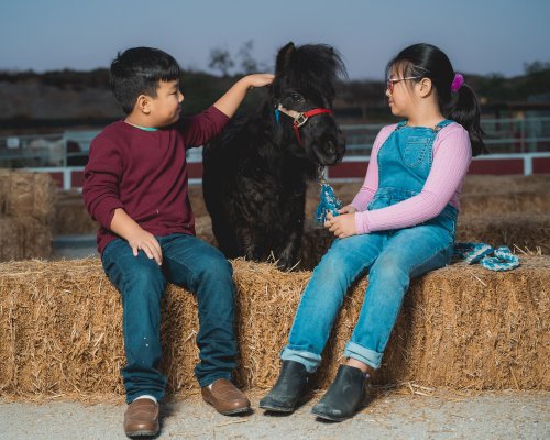 Tanaka farms Isabella and Bradley Harsadi