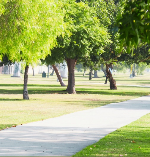 La Palma’s Arbor Day Celebration