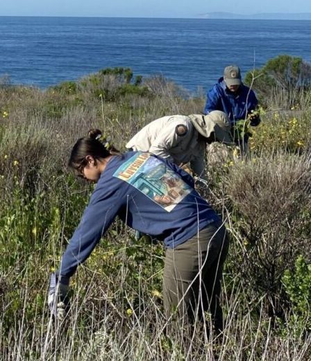 Crystal Cove Beach Cleanup