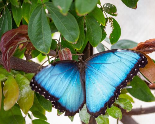 Summertime in the SCBG