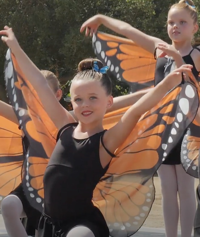 10th Annual Festival of the Butterflies