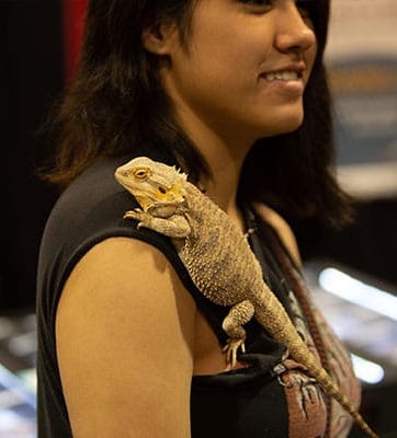 Reptile Super Show