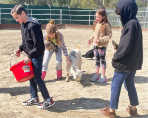 Trabuco Elementary School Green Ribbon School
