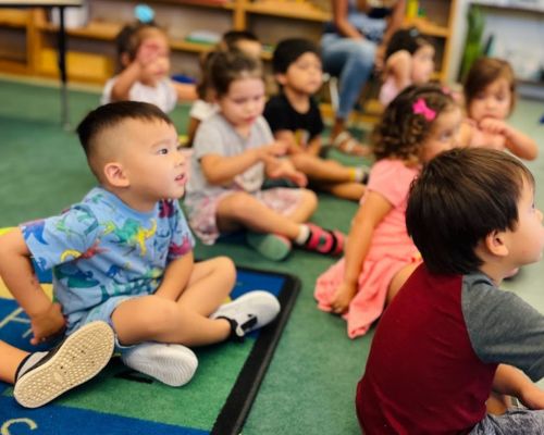 Little Scholars Academy of California - Best Montessori School