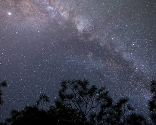 Starry night sky at the Nature Reserve at Ranch Mission Viejo