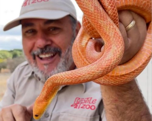 The Reptile Zoo_Prehistoric Pets - Best Party Entertainment