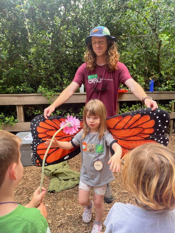Â Reading in the RedwoodsÂ