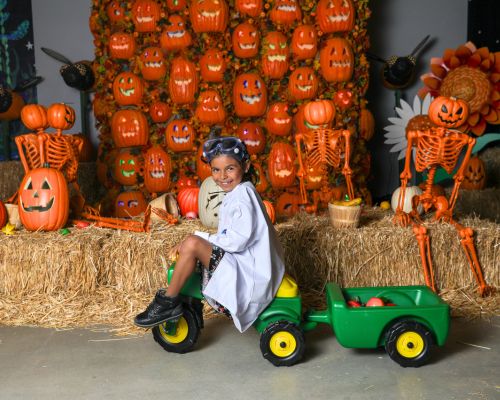 Discovery Cube Pumpkin Palooza