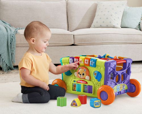 Sort & Discover Activity