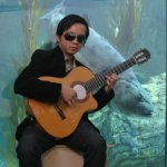 Festival of Human Abilities