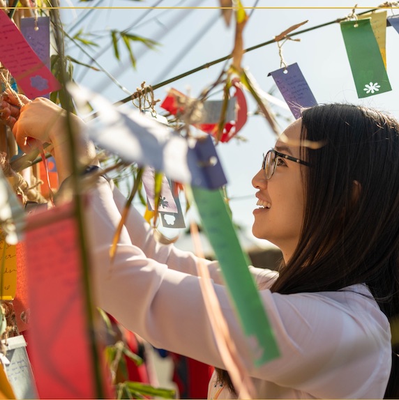 43rd Annual Tet Festival