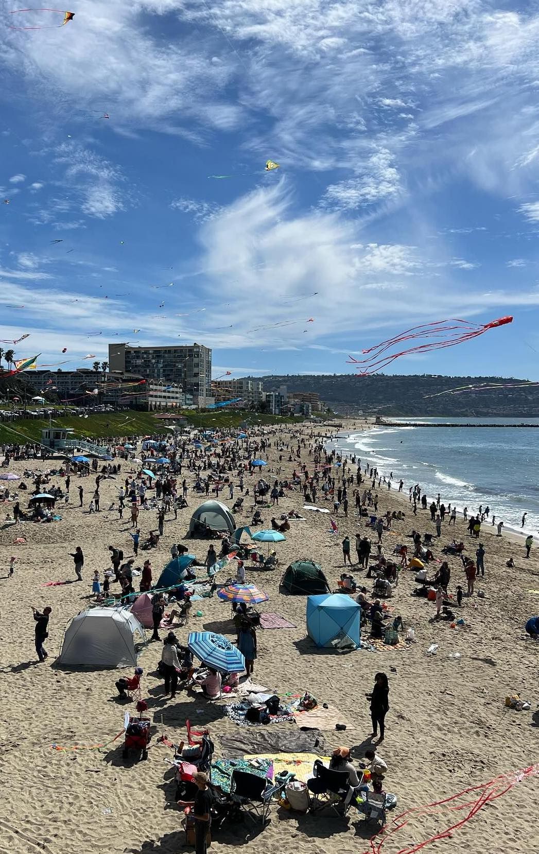 Festival of the Kite
