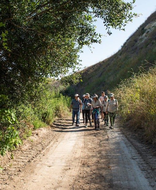 Family Hikes: Agua Chinon