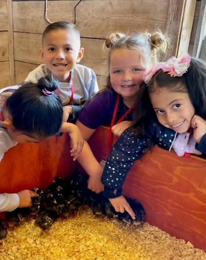 Discovery Day at the Farm