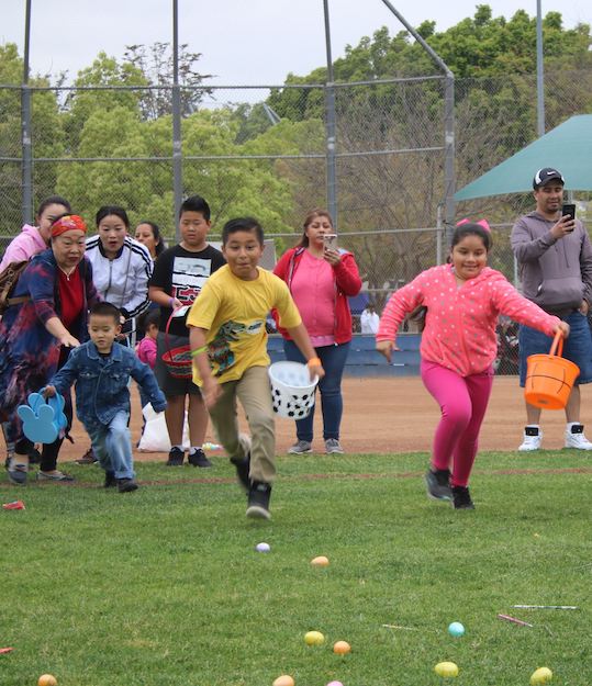 Spring Family Eggstravaganza: Egg Night