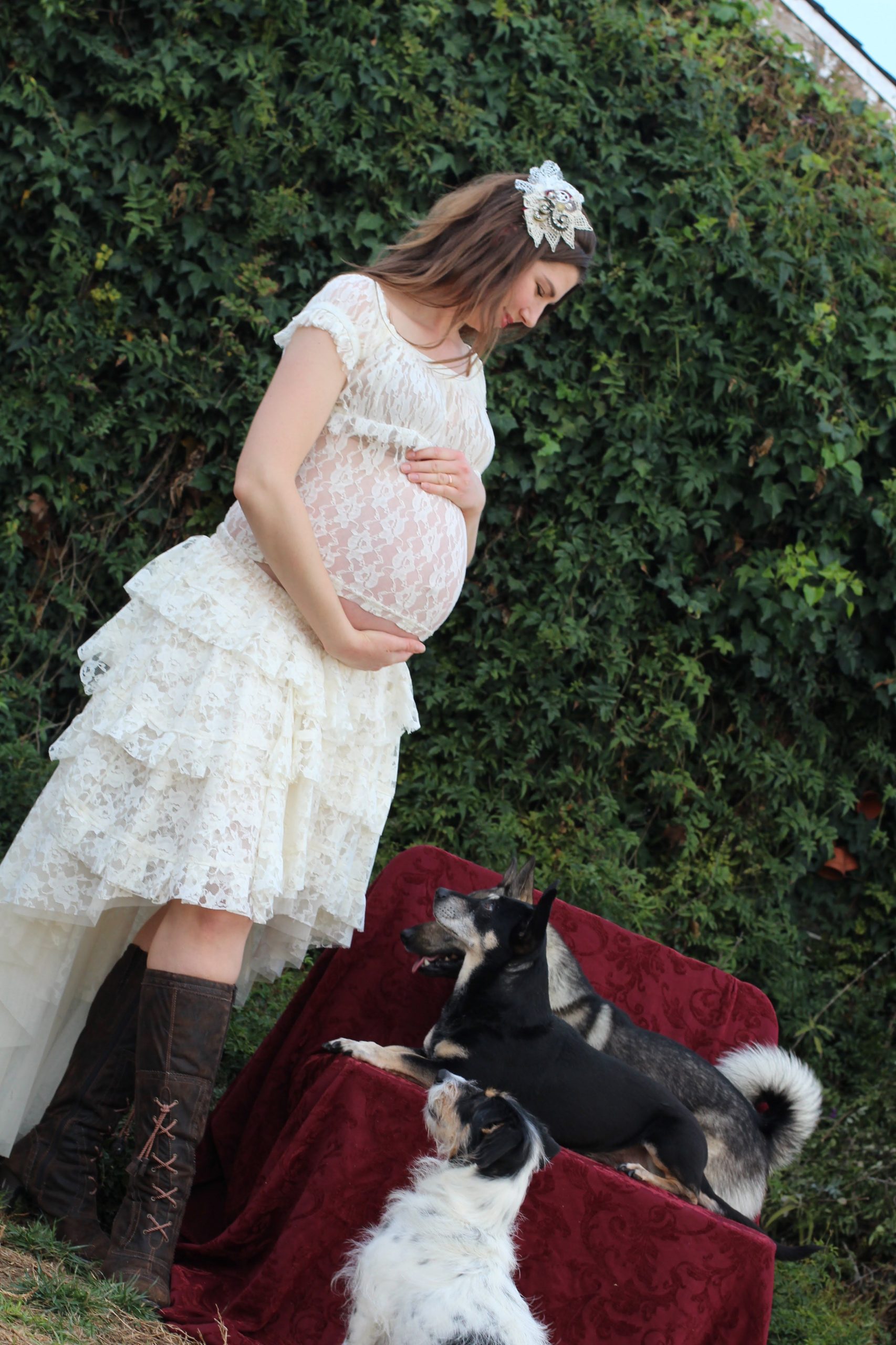 Family Paws Presentations: Dogs & Storks