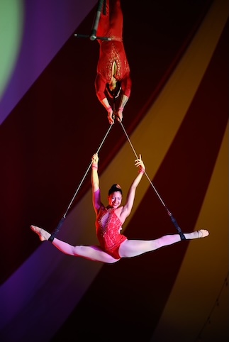 Venardos Circus