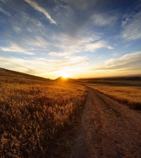 Celebrate Earth Day 2025 at Quail Hill