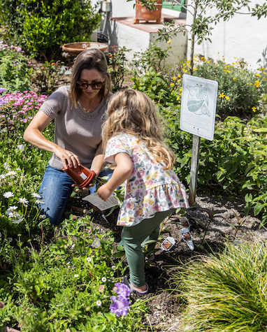 Family Sundays: Earth Day