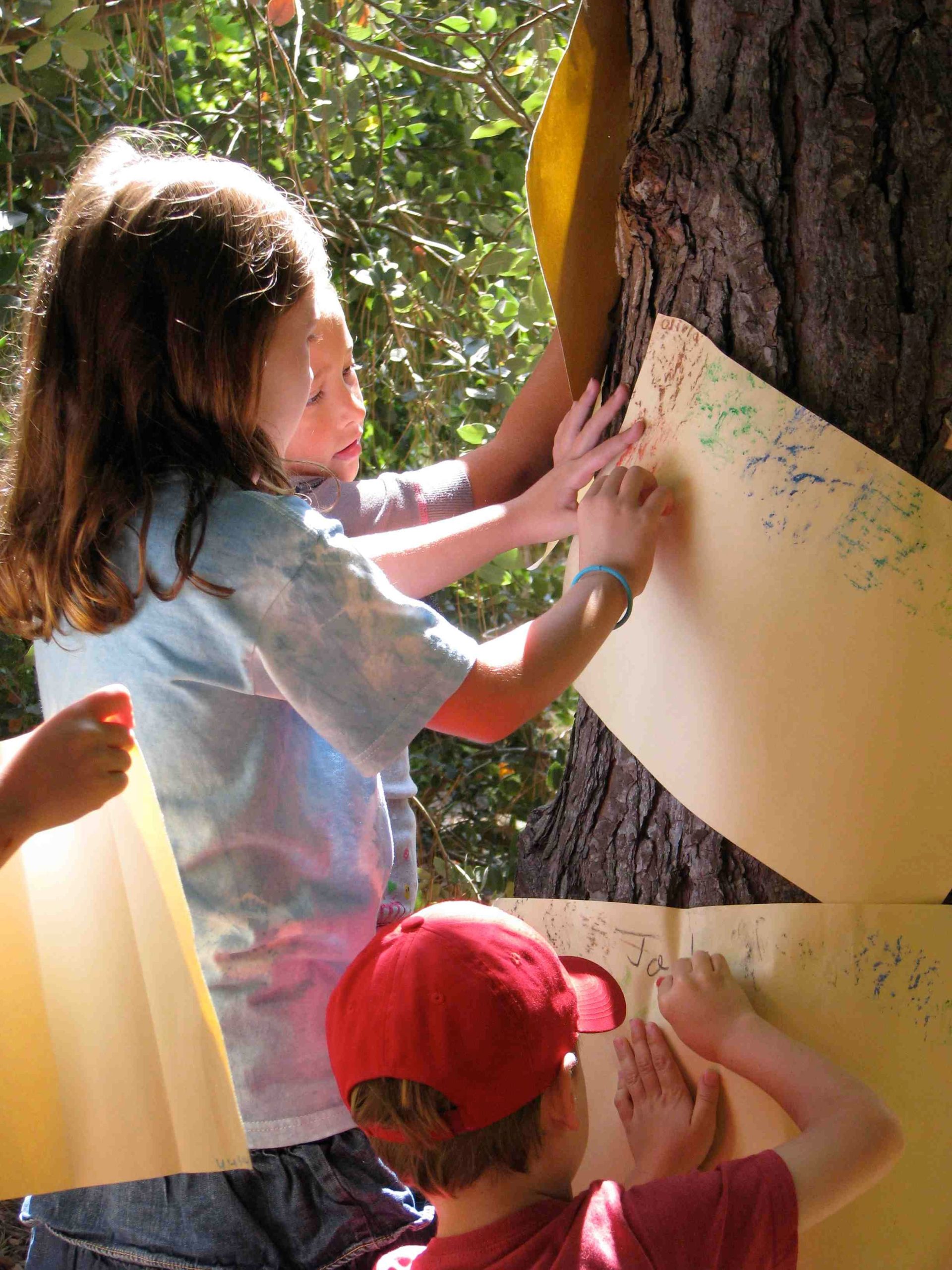 Reading in the Redwoods