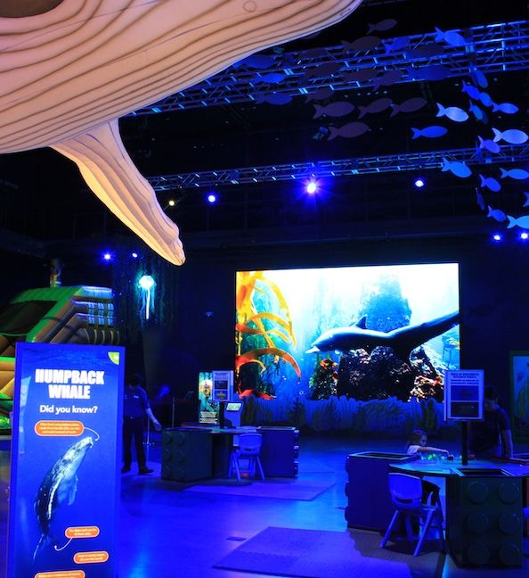 “Ocean Encounters” Exhibit