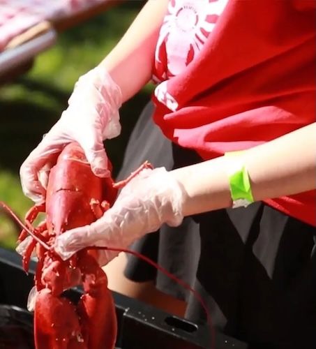 Tustin Lobsterfest