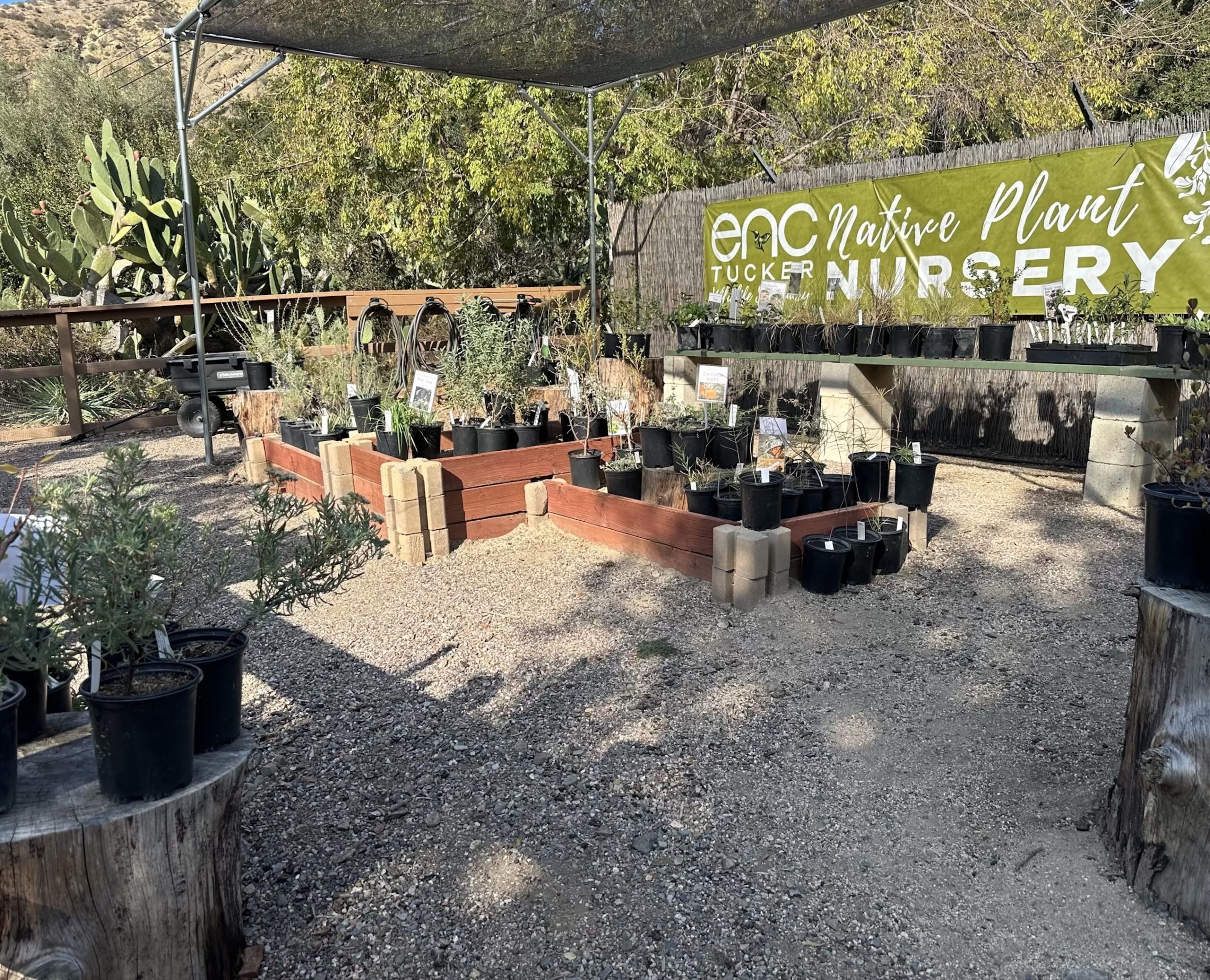 Earth Day at the ENC Tucker Wildlife Sanctuary