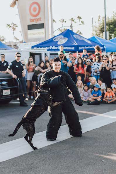 National Night Out in Westminster
