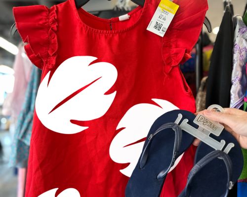 Lilo and Stitch DIY Costume