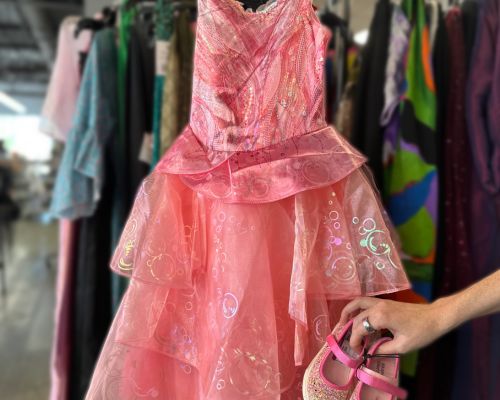 Glinda and Elphaba  DIY Costumes