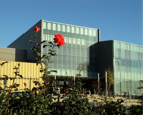 Robin Hood & the White Arrow: The Holiday Feast of Stephen