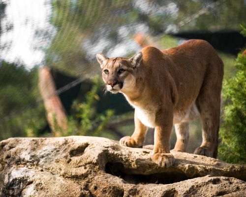 Halloween Zoo-tacular 