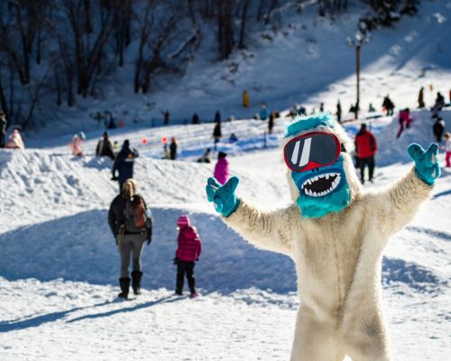 Yeti's Snow Play