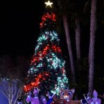 SeaWorld’s Christmas Celebration