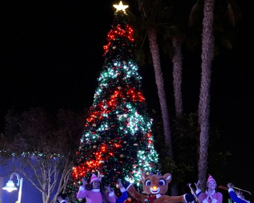 SeaWorld’s Christmas Celebration