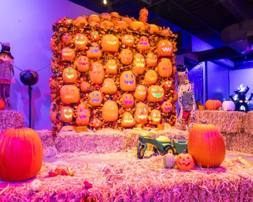 Discovery Cube Pumpkin Palooza