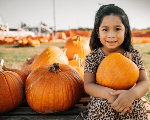 Heritage Hill’s Fall-O-WeenÂ