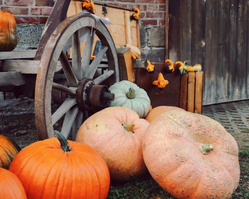 Huntington Beach’s Falloween