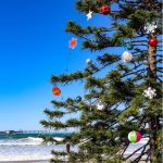 Crystal Cove Holiday House