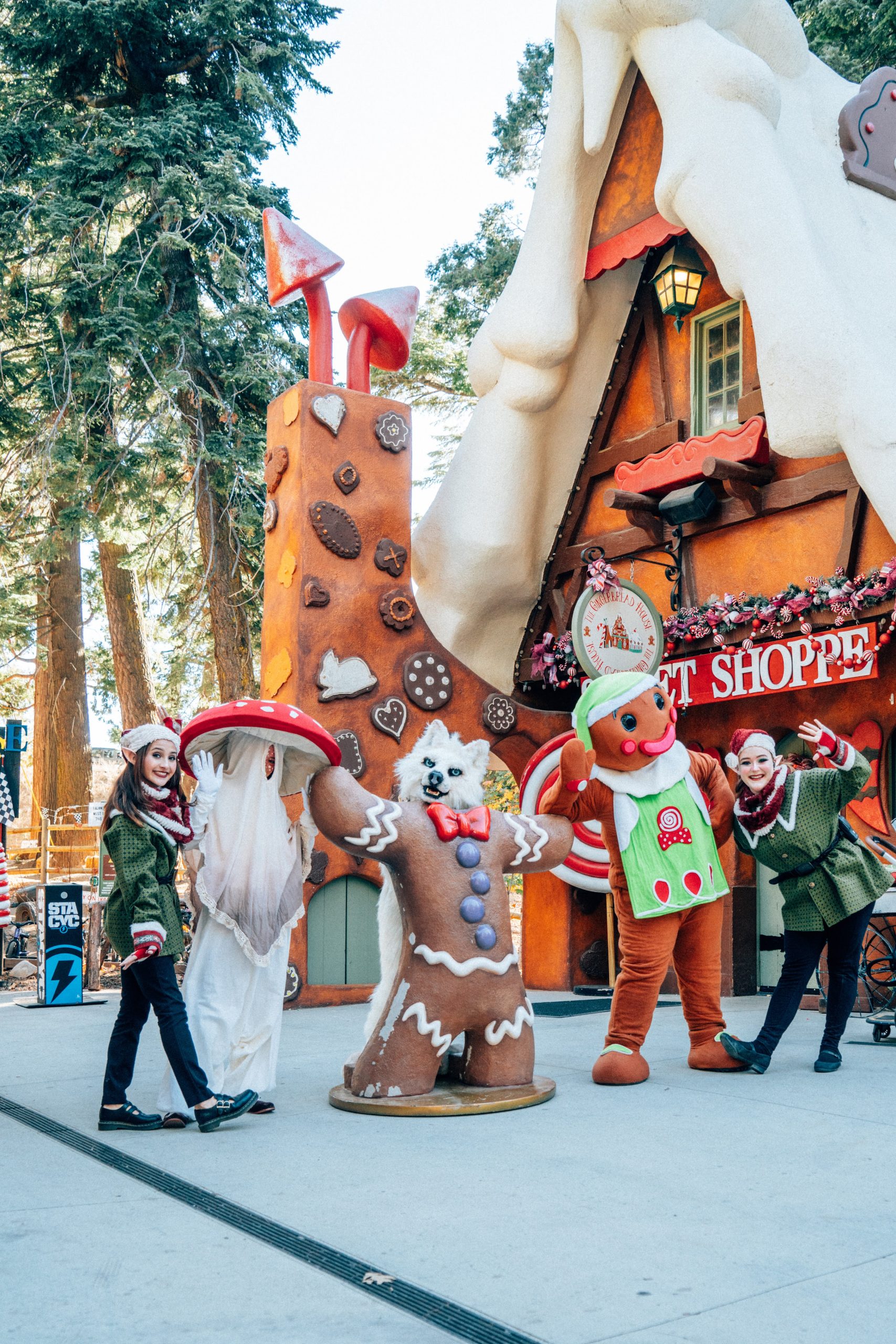 Skypark at Santa's Village